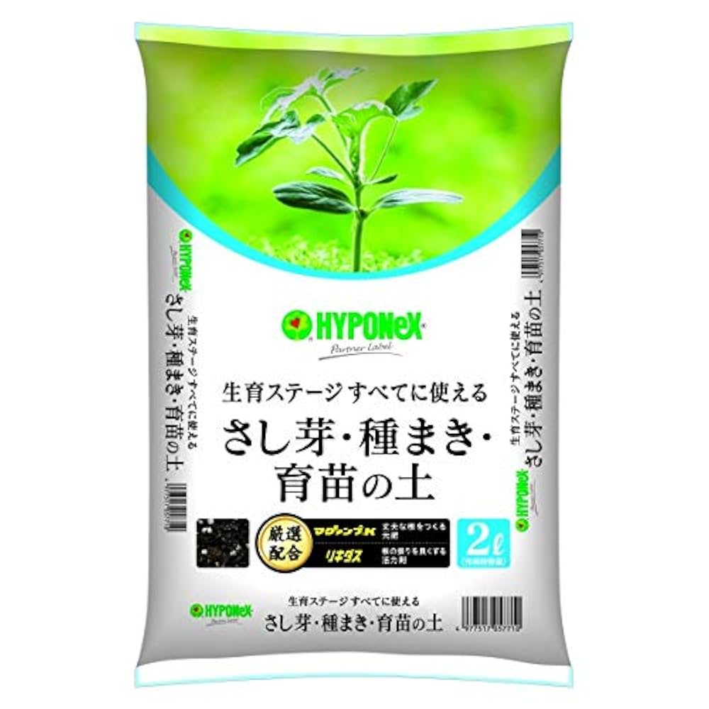 専用出品　大苗2本　2年生苗1本 楽天市場】【甘夏】 2年生接木苗 なつみかん : 苗木部 by 花